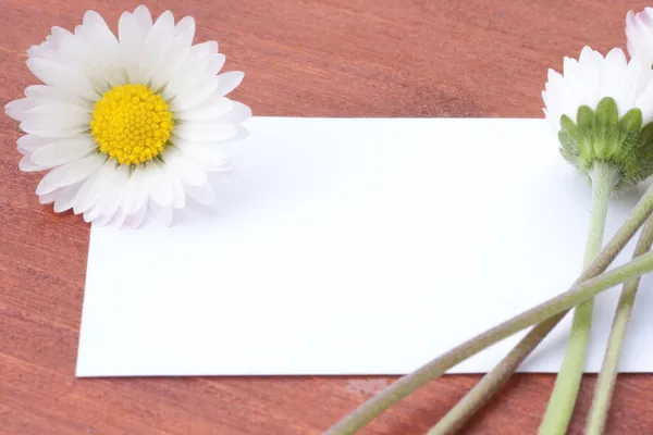 Fehér kártya virággal — Stock Fotó