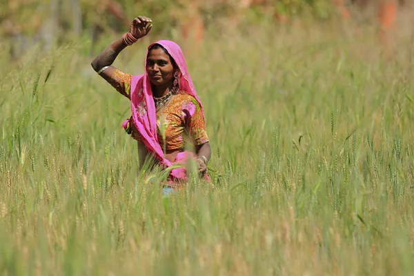 Woman Farming — Stock Photo, Image