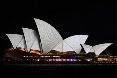 Sydney opera binası gece canlı ışık Festivali