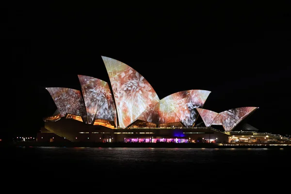 Сіднейський оперний театр ніч яскраві світло фестиваль — стокове фото