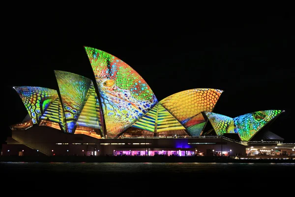 Sydney opera binası gece canlı ışık Festivali
