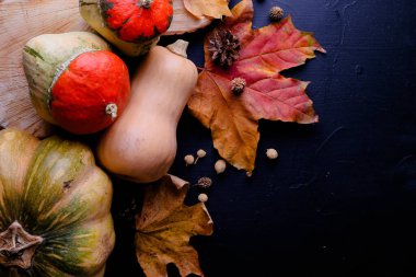 Siyah arka planda balkabağı ve yapraklarla sonbahar kompozisyonu. Şükran Günü ya da Cadılar Bayramı kavramı. Kopya alanı olan düz sonbahar kompozisyonu