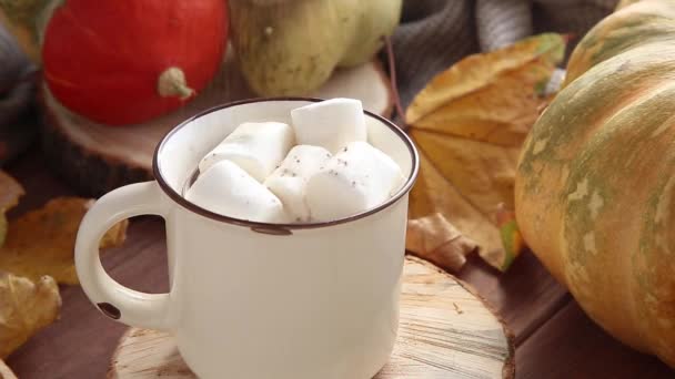 Sprinkande choklad på marshmallows i kopp med kakao — Stockvideo