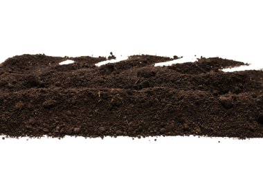 Beyaz arka planda izole edilmiş bitkiler için kara toprak. Çerçeve. Boşluğu kopyala. 