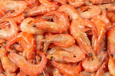 Karides arkaplan dokusu. Bir sürü karides. Pişmiş karides.. 