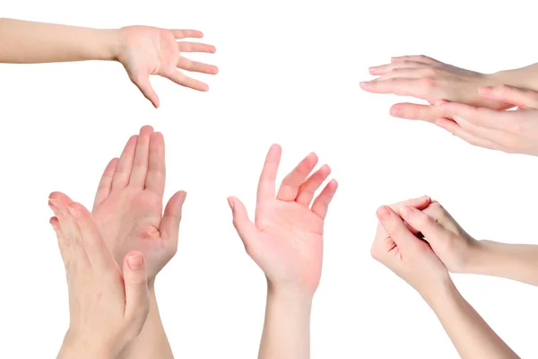Frauenhände Applaus Muster Isoliert Auf Weißem Hintergrund — Stockfoto