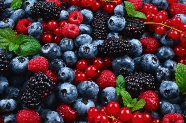 Blackberry, ahududu, yabanmersini, kırmızı frenk üzümü ve nane arkaplanı. 