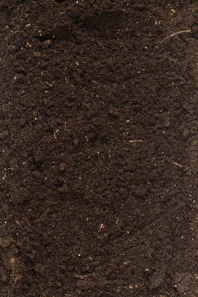 Gleba Dla Rośliny Izolowane Białym Tle Wzór Gleby — Zdjęcie stockowe