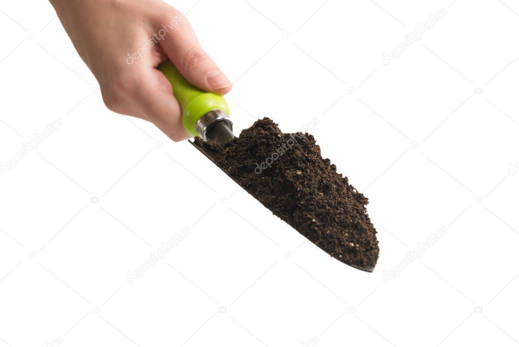 Little green shovel with soil in woman hand isolated on white background.  