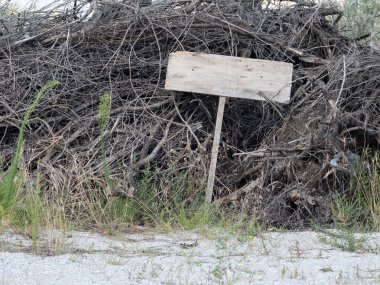 Korkunç boş ahşap levha kuru dalların üzerinde yatıyor. Uzayı kopyala Cadılar Bayramı. 