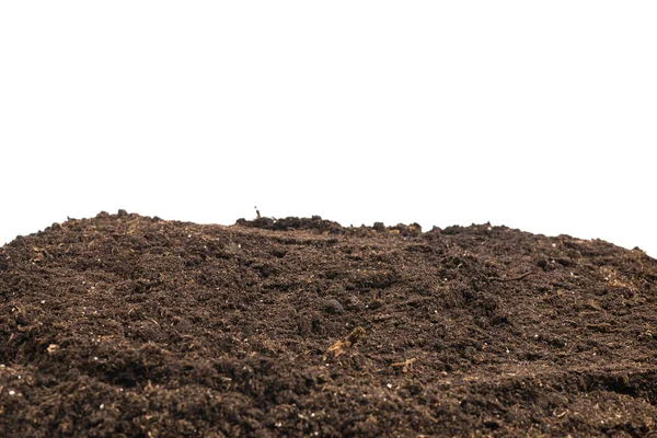 Почва Растений Изолированы Белом Фоне Почвенный Узор — стоковое фото