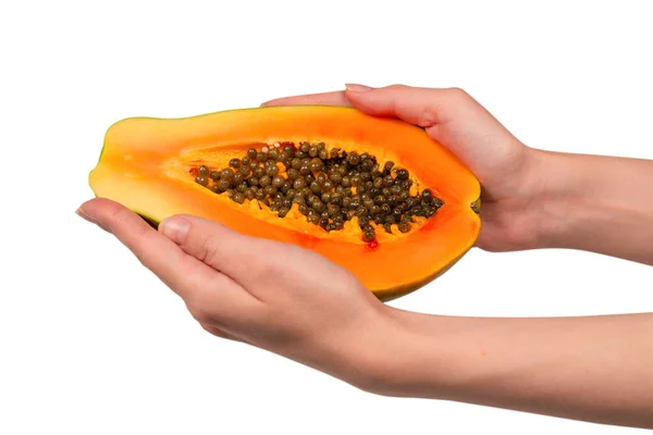 Papaya Fruit Geïsoleerd Een Witte Achtergrond Handen Van Vrouw Tropisch — Stockfoto