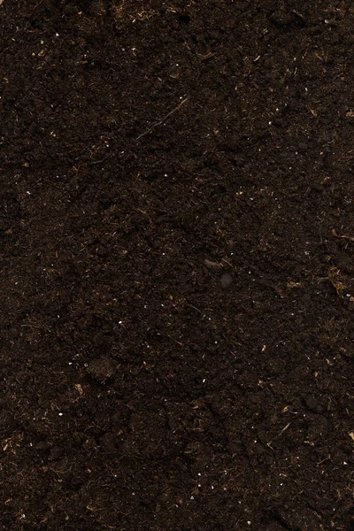 白色背景下隔离的植物土壤 土壤模式 — 图库照片