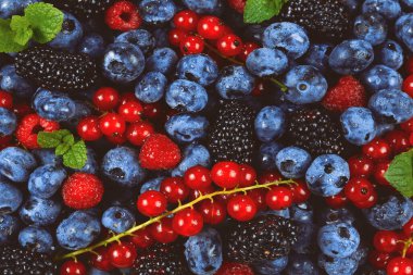 Blackberry, ahududu, yabanmersini, kırmızı frenk üzümü ve nane arkaplanı. 