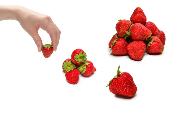 Fraise Maintenue Dans Des Mains Isolées Sur Fond Blanc — Photo