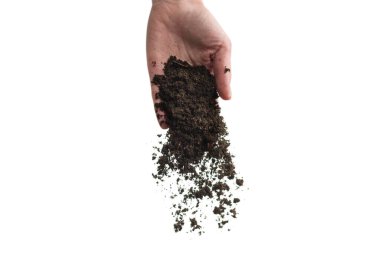 Kadınların elindeki kahverengi toprak beyaz arka planda izole edilmiş. Toprak elimizden kayıp gidiyor..