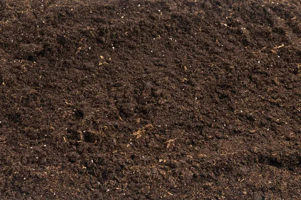 Suelo Para Planta Aislada Sobre Fondo Blanco Patrón Del Suelo — Foto de Stock