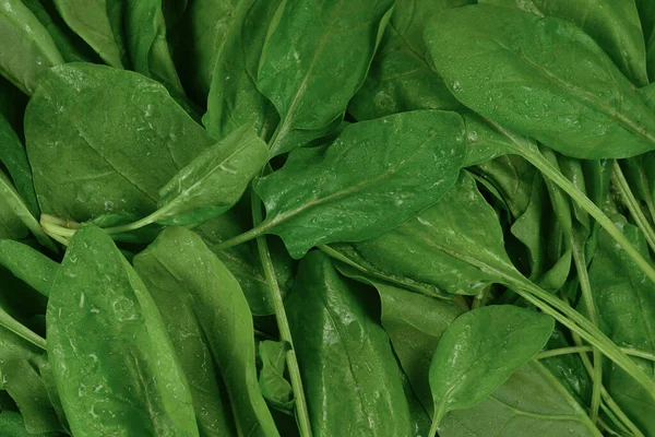 Fresh Spinach Leaves Background — Stock Photo, Image