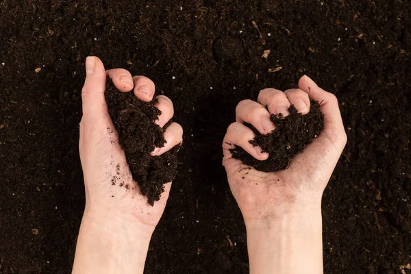 Kadın el ele tutuşuyor. Üst görünüm. 