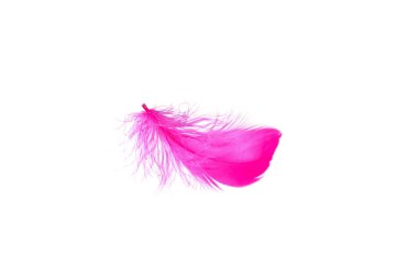 Pembe tüy beyaz arkaplanda izole edilmiş..