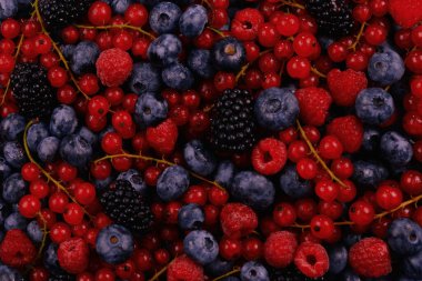 Blackberry, ahududu, yabanmersini, kırmızı frenk üzümü ve nane arkaplanı. 