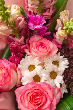 Pembe ambalaj kağıdında bir buket yumuşak pembe çiçek. Beyaz bir arkaplanda izole edilmiş.