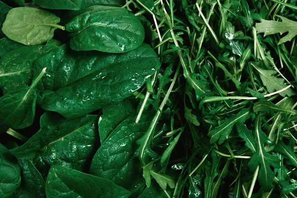 Frische Blätter Von Rucola Und Spinat Als Hintergrund — Stockfoto