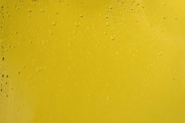 Su damlalı sarı sırık. Boşluğu kopyala. 