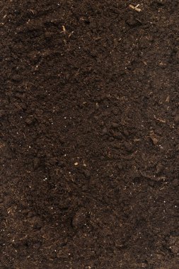 Bitkiler için toprak beyaz arka planda izole edildi. Toprak deseni.