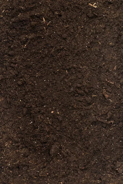Почва Растений Изолированы Белом Фоне Почвенный Узор — стоковое фото