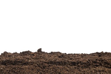 Bitkiler için toprak beyaz arka planda izole edildi. Toprak deseni.