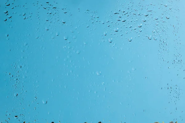 Блакитна Спина Краплями Води Мокрий Келих Копіювати Простір — стокове фото