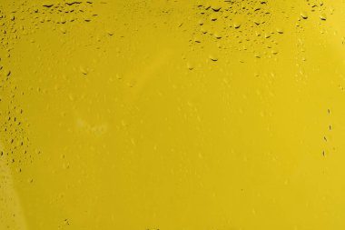 Su damlalı sarı sırık. Boşluğu kopyala. 