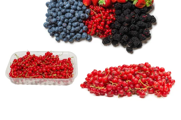 Moras Frambuesas Arándanos Grosellas Rojas Aisladas Sobre Fondo Blanco Vista —  Fotos de Stock