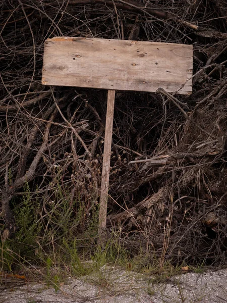 Korkunç boş ahşap levha kuru dalların üzerinde yatıyor. Uzayı kopyala Cadılar Bayramı. 