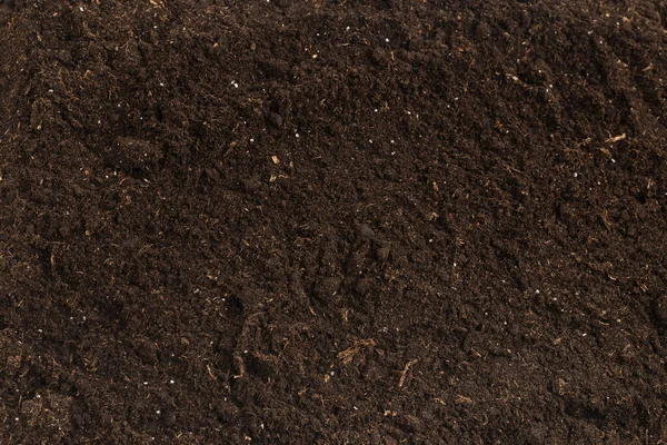 Soil Plant Isolated White Background Soil Pattern — Stock Photo, Image
