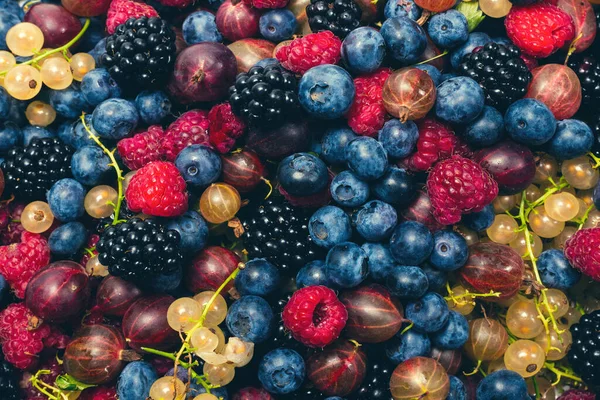 Bektaşi üzümü, yabanmersini, dut, ahududu, beyaz ve kırmızı frenk üzümü arka plan. 