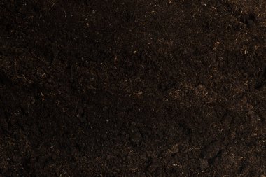 Bitkiler için toprak beyaz arka planda izole edildi. Toprak deseni.