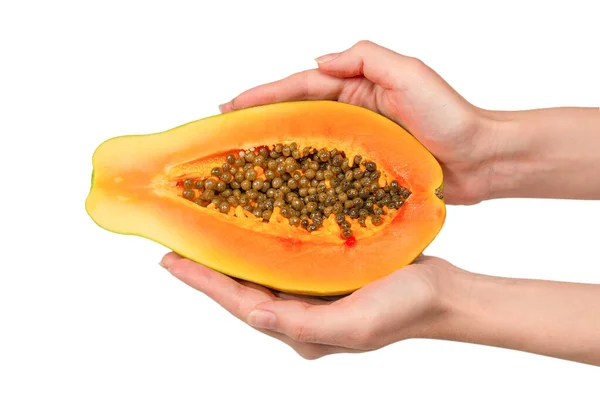 Papaya Fruit Geïsoleerd Een Witte Achtergrond Handen Van Vrouw Tropisch — Stockfoto