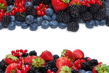 Böğürtlen, ahududu, yaban mersini, beyaz arka planda kırmızı frenk üzümü. Üst görünüm. 