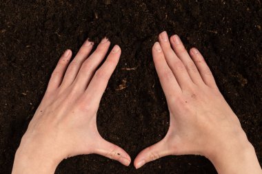 Kadın el ele tutuşuyor. Üst görünüm. 