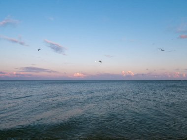 Sahilde güzel bir gün batımı. Yaz günbatımı ve deniz dalgaları