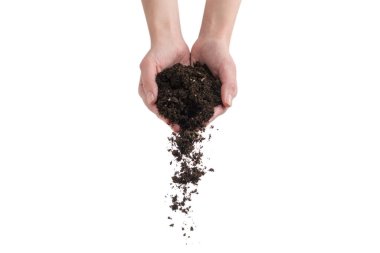 Kadınların elindeki kahverengi toprak beyaz arka planda izole edilmiş. Toprak elimizden kayıp gidiyor..