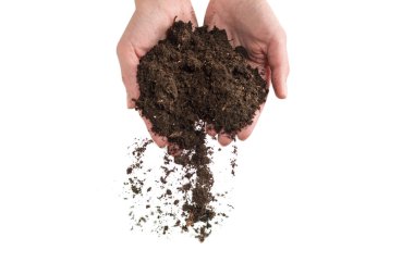 Kadınların elindeki kahverengi toprak beyaz arka planda izole edilmiş. Toprak elimizden kayıp gidiyor..