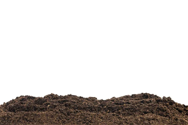 Soil Plant Isolated White Background Soil Pattern — Stock Photo, Image