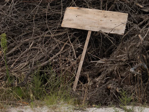 Korkunç boş ahşap levha kuru dalların üzerinde yatıyor. Uzayı kopyala Cadılar Bayramı. 