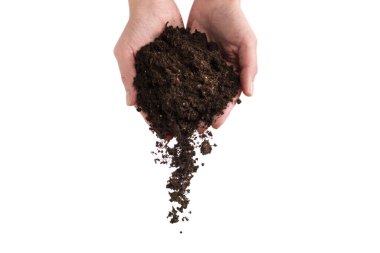 Kadınların elindeki kahverengi toprak beyaz arka planda izole edilmiş. Toprak elimizden kayıp gidiyor..