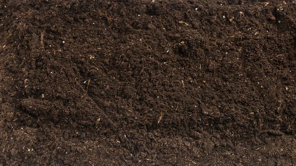白い背景に隔離された植物のための土壌 土壌のパターン — ストック写真