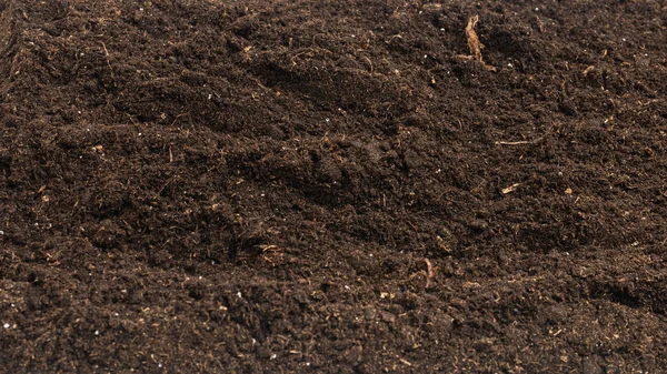 Soil Plant Isolated White Background Soil Pattern — Stock Photo, Image