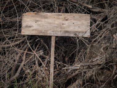 Korkunç boş ahşap levha kuru dalların üzerinde yatıyor. Uzayı kopyala Cadılar Bayramı. 